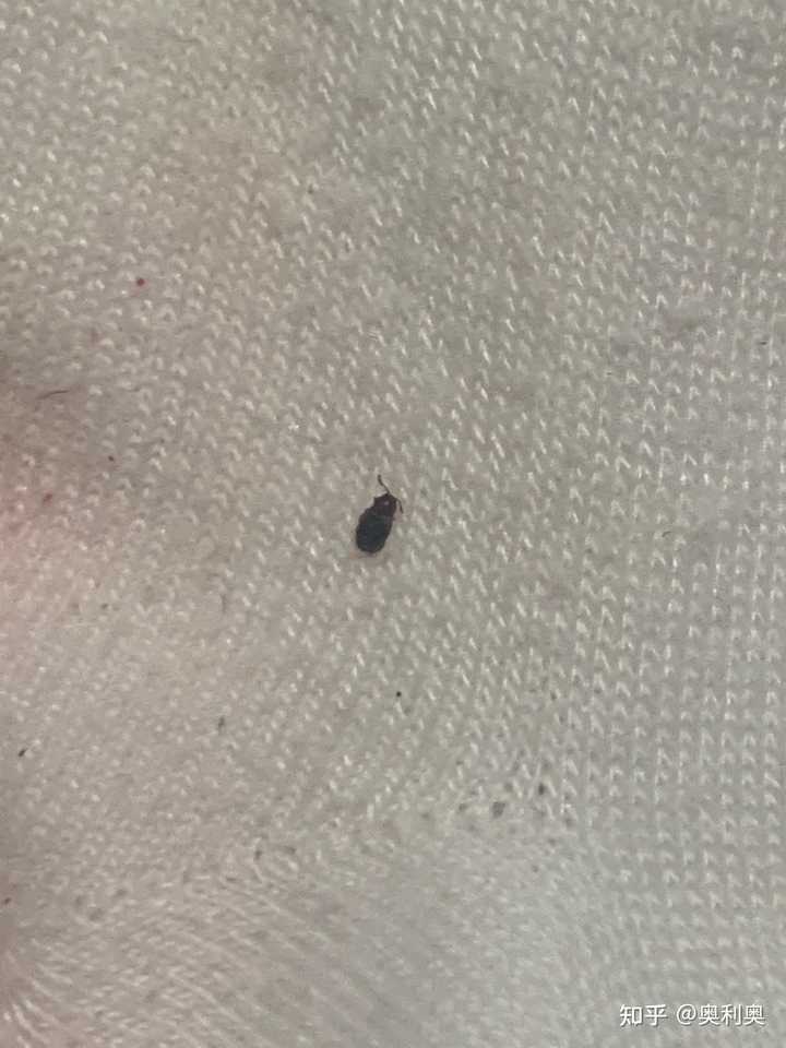 最新资讯 第56页