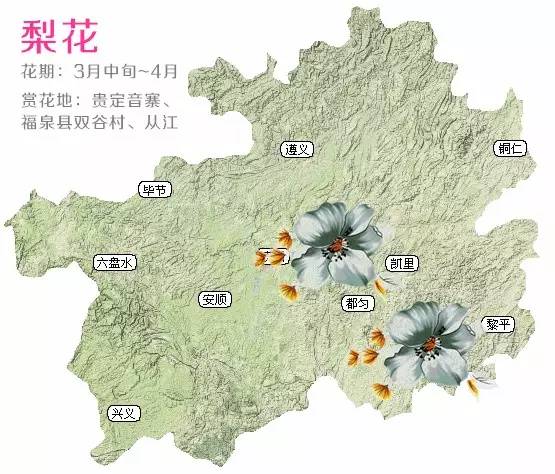 贵州十里花海在哪里贵州十里花海究竟在哪里？人间仙境般的绝美景色等你来探寻！